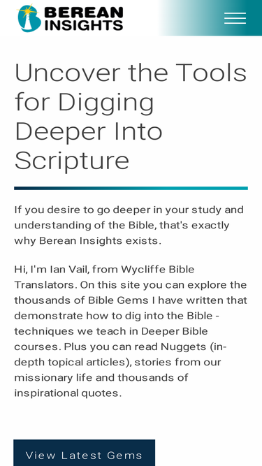 bereaninsights.com