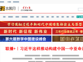 'lnd.com.cn' screenshot