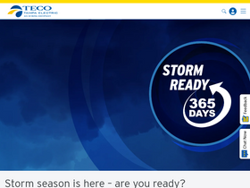 'tampaelectric.com' screenshot
