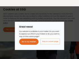 'ssgsolutions.com' screenshot