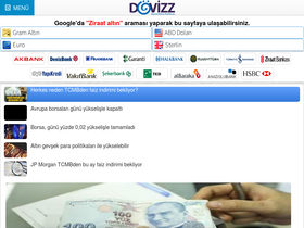 'dovizz.net' screenshot