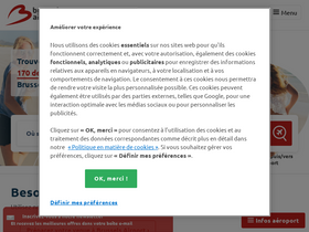 'brusselsairport.fr' screenshot