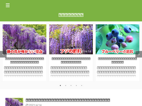 'koke-josou.com' screenshot