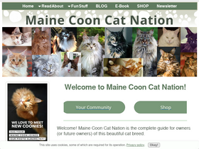 maine-coon-cat-nation.com