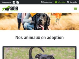 'spaavic.com' screenshot