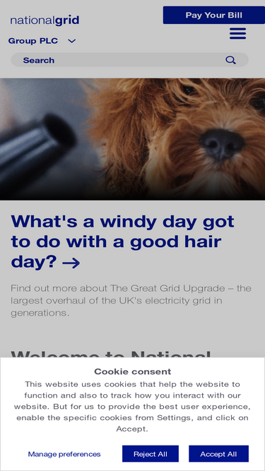 nationalgrid.com