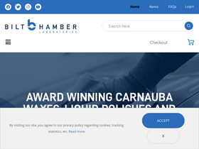 'bilthamber.com' screenshot