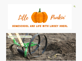 lillepunkin.com