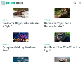 'naturenoon.com' screenshot