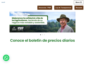 fedepapa.com