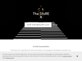 thestorex.com