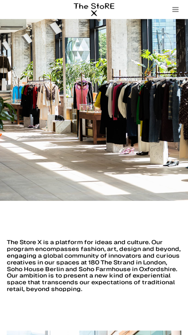thestorex.com