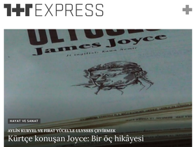 'birartibir.org' screenshot