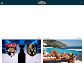 'bustedcoverage.com' screenshot