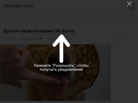 'shutniks.com' screenshot
