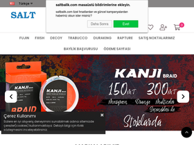 'saltbalik.com' screenshot