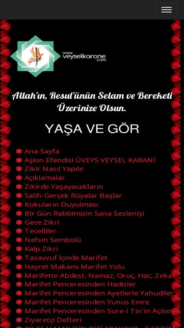 veyselkarane.com