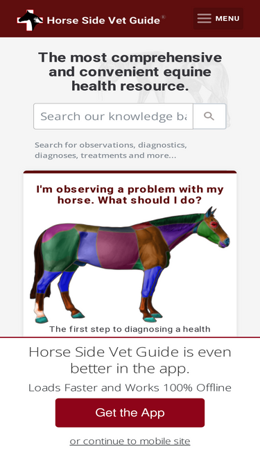 horsesidevetguide.com