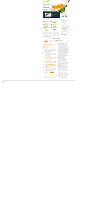 introweb.ru