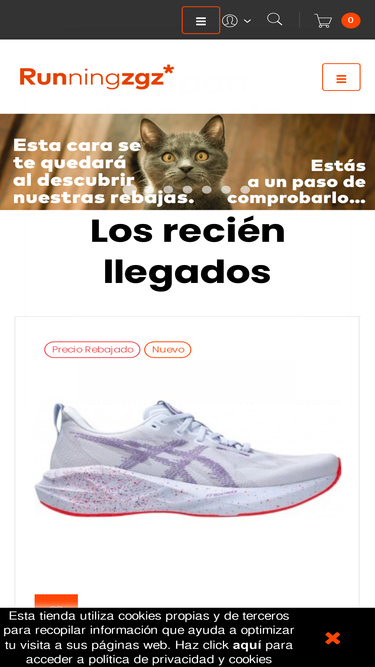 runningzgz.com