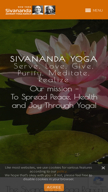 sivanandayogaranch.org