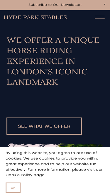 hydeparkstables.com