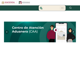 'anam.gob.mx' screenshot