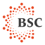 bsceducation.com