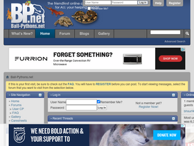 'ball-pythons.net' screenshot