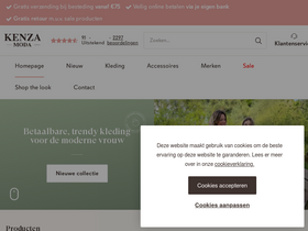 'dameskleding-webshop.nl' screenshot