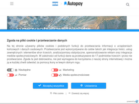 'bluemedia.pl' screenshot
