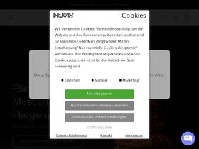 DRUWIDS homepage screenshot