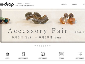 'ns-drop.com' screenshot