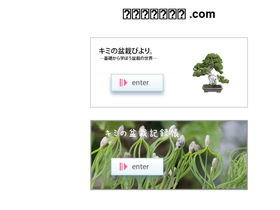 'shinto-kimiko.com' screenshot