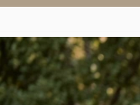 Evelynandparker homepage screenshot