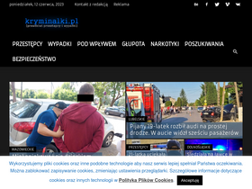 'kryminalki.pl' screenshot