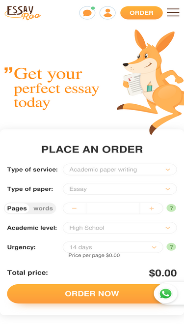 essayroo.com