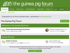 'theguineapigforum.co.uk' screenshot