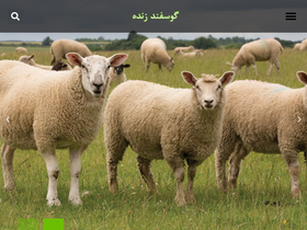 'livesheep.com' screenshot