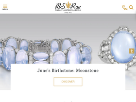 Website Logo
