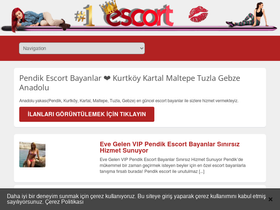 'maltepeokul.com' screenshot