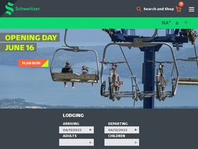 'schweitzer.com' screenshot