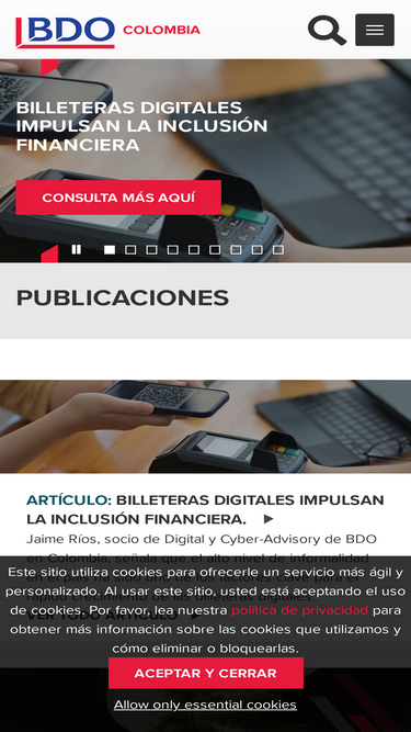 bdo.com.co