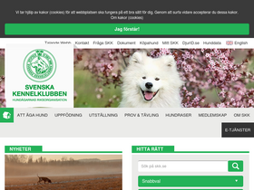 'skk.se' screenshot