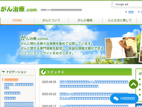 'ganchiryo.com' screenshot