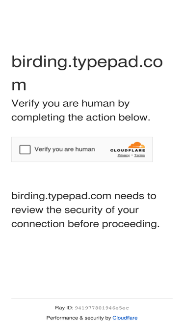 birding.typepad.com