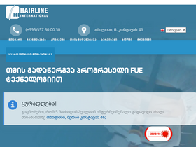 'hairline.ge' screenshot