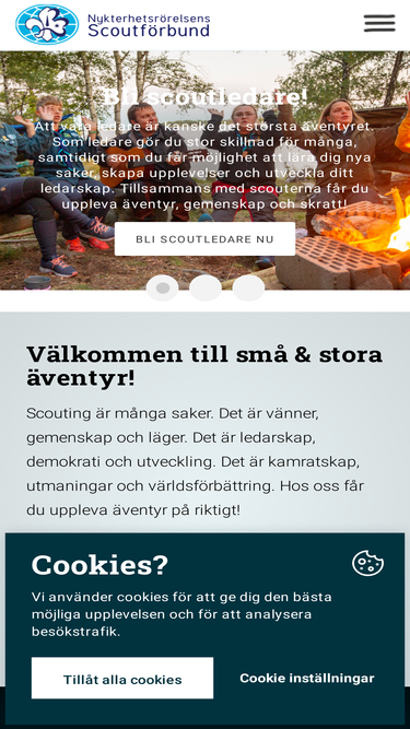 nsf.scout.se