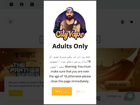 'cityvpdxb.com' screenshot