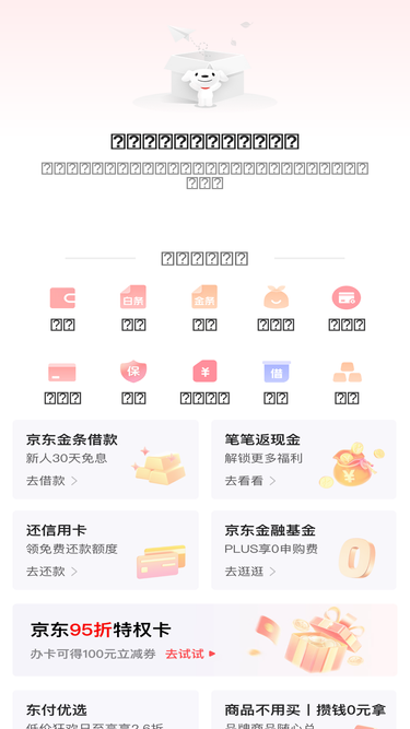 pay.jd.com